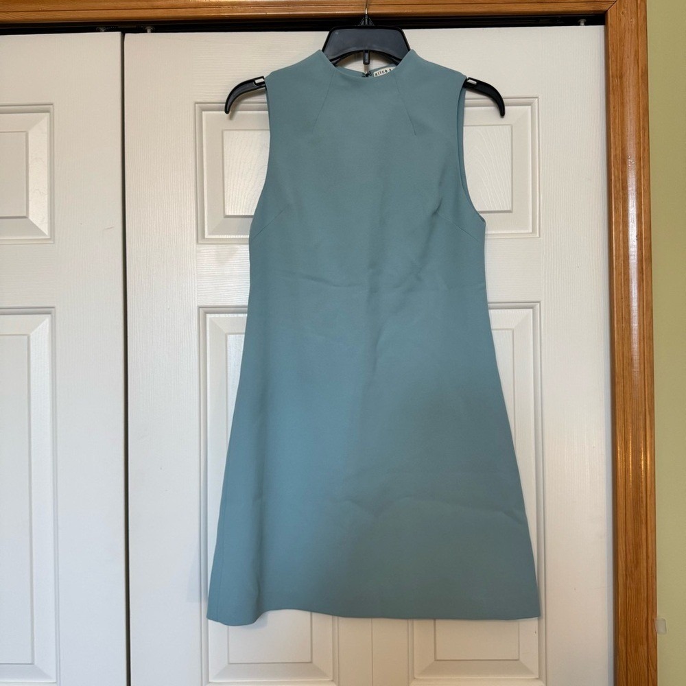 Alice + Olivia Coley Mini Dress View 6